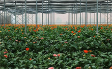 养殖大棚新伙伴：空气能助力绿色播种