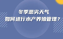 空气能热泵技术在冬季对水产养殖有什么帮助