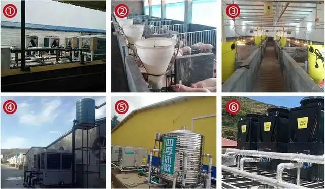 猪舍空气能采暖好!温度恒定,省钱省人工,手机能监控