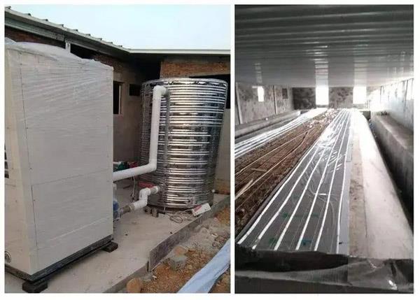 养猪场空气能地暖怎么做！分区及热负荷选型