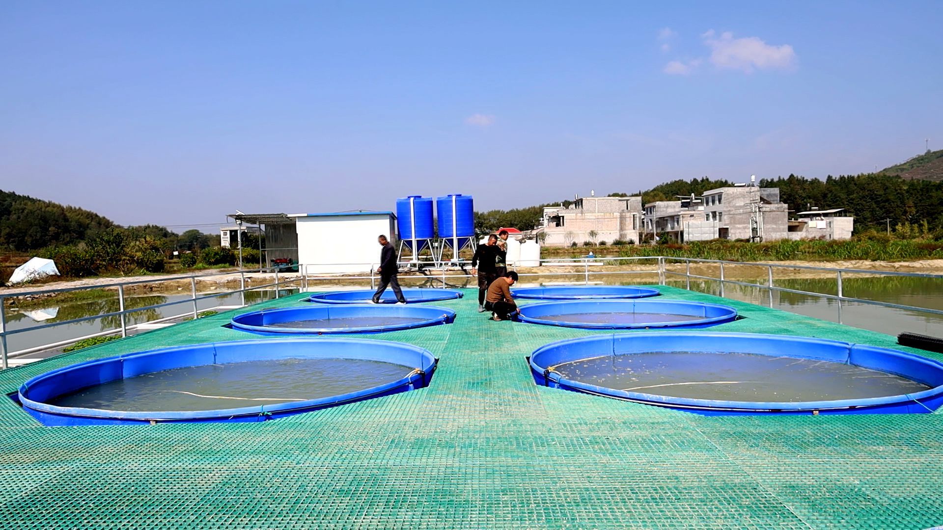 为什么水产养殖都选空气能