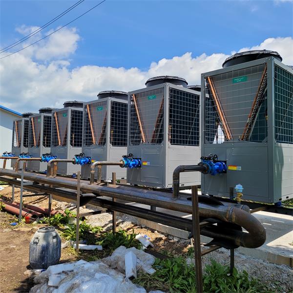 冷暖皆宜：大棚空气能机组的高效能解决方案