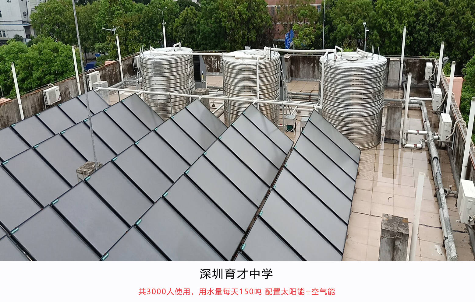 深圳育才中学.jpg