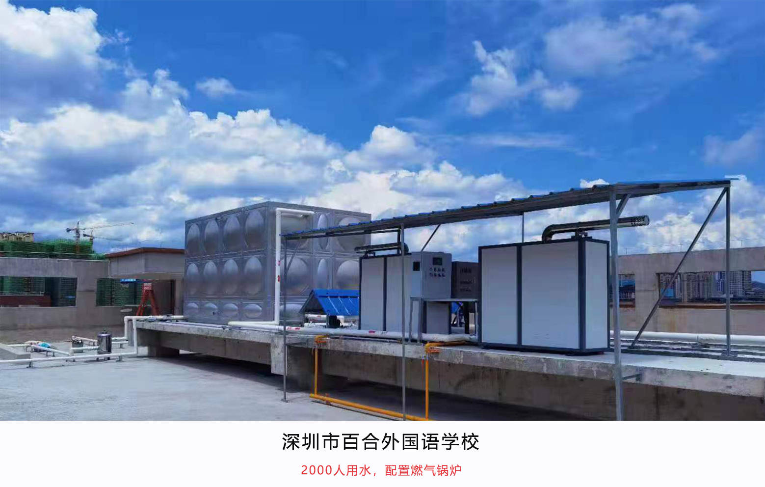 深圳市百合外国语学校.jpg