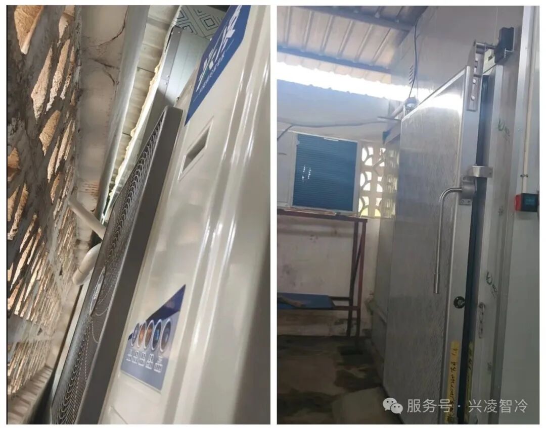 稳守-18℃，耗电降20%：开远食品冷库如何做到“稳”和“省”？